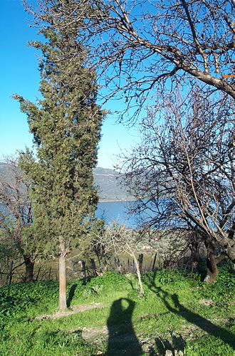 Renovierungsbedürftiges Haus